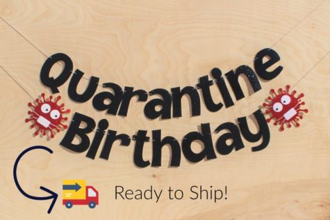 quarantine birthday party banner